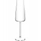 Jogo 6 Taças 210ml Para Champanhe Alex em Cristal Ecológico Bohemia